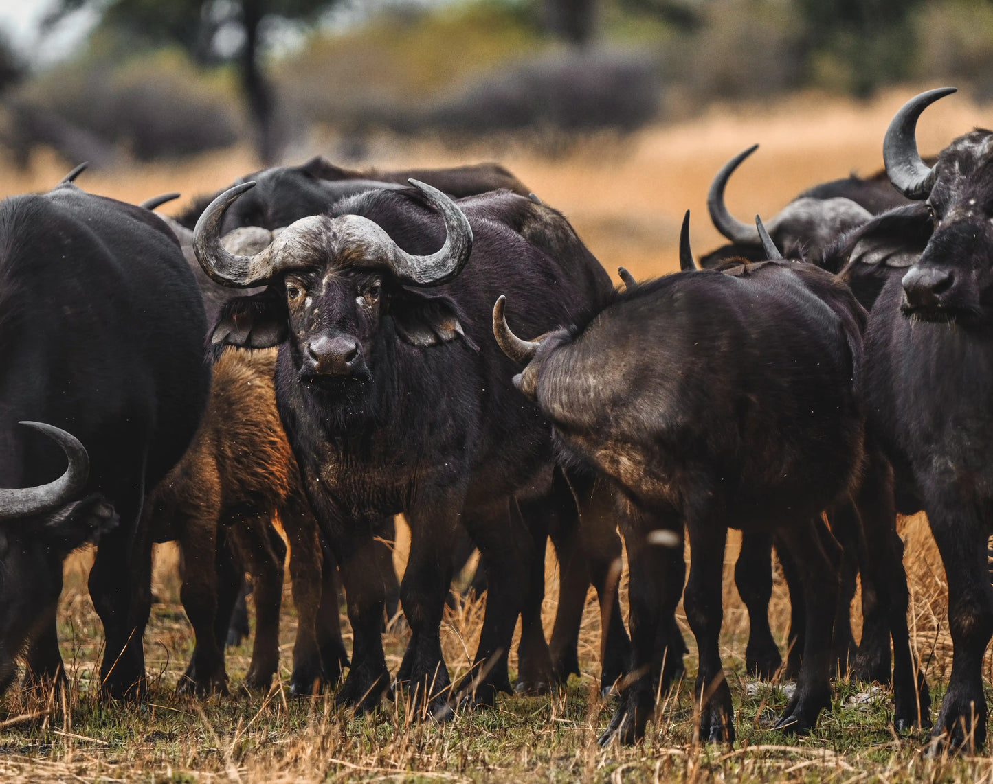 Mountain Landscape Wall Art Print 29