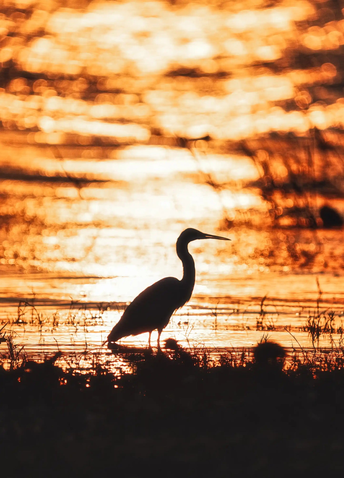 Mountain Landscape Wall Art Print 39