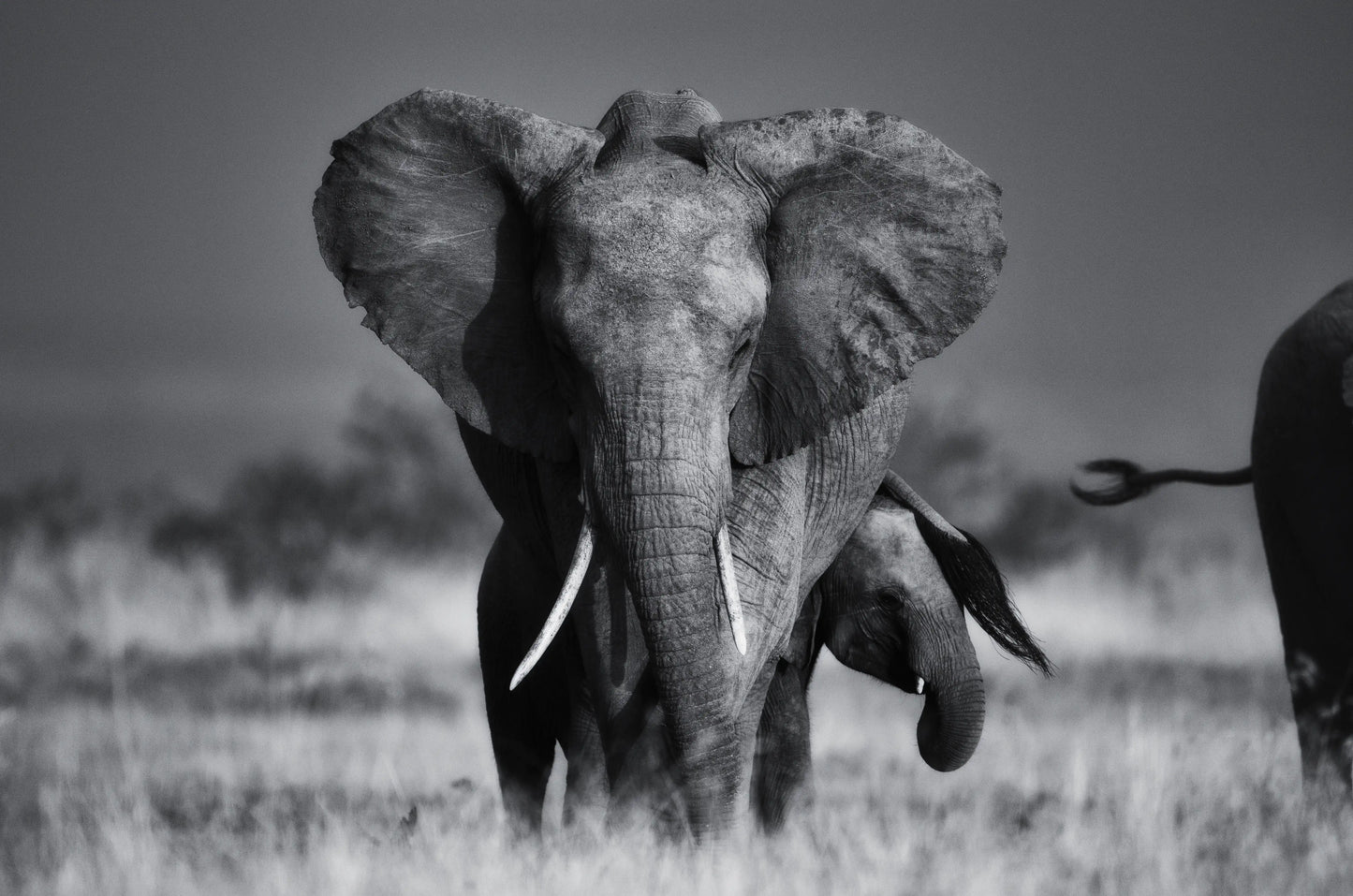 Mountain Landscape Wall Art Print (example)