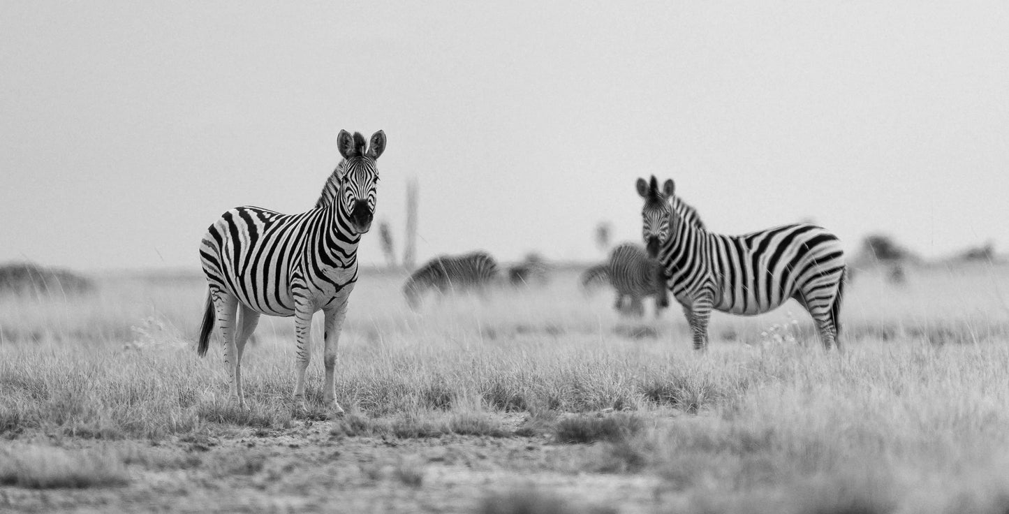 Mountain Landscape Wall Art Print 15