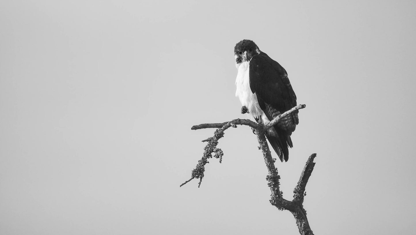 Mountain Landscape Wall Art Print 55