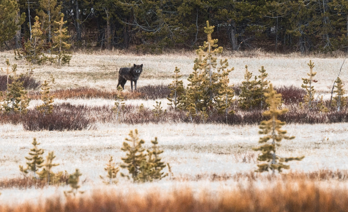 Mountain Landscape Wall Art Print 47