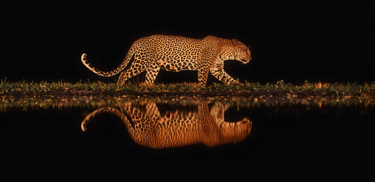 Mountain Landscape Wall Art Print 38