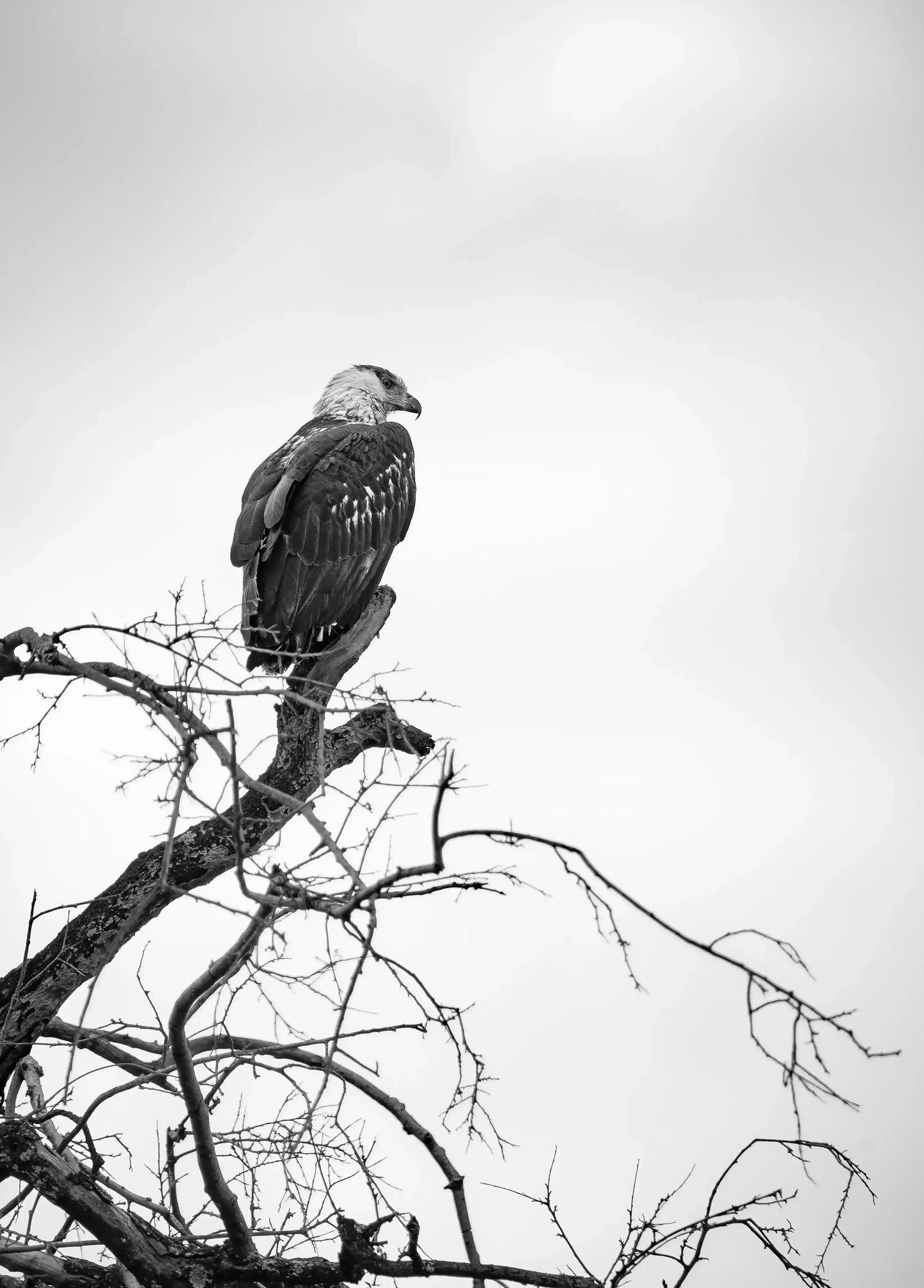 Mountain Landscape Wall Art Print 3