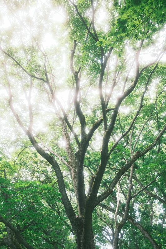 Mountain Landscape Wall Art Print 43