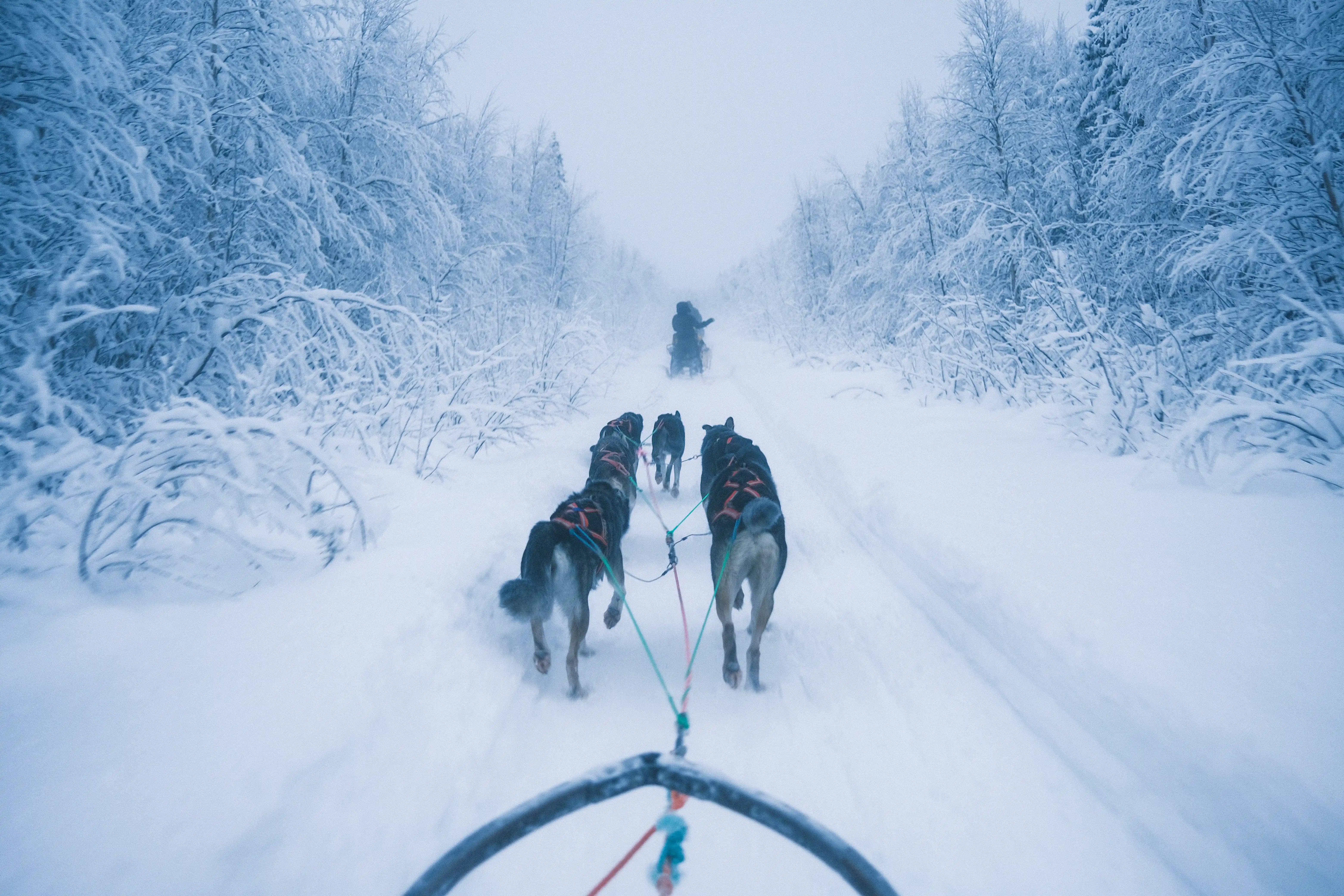 Mountain Landscape Wall Art Print 41