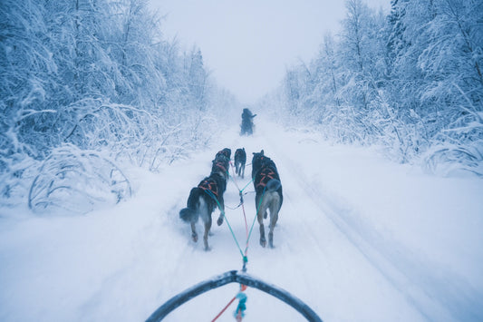 Mountain Landscape Wall Art Print 41