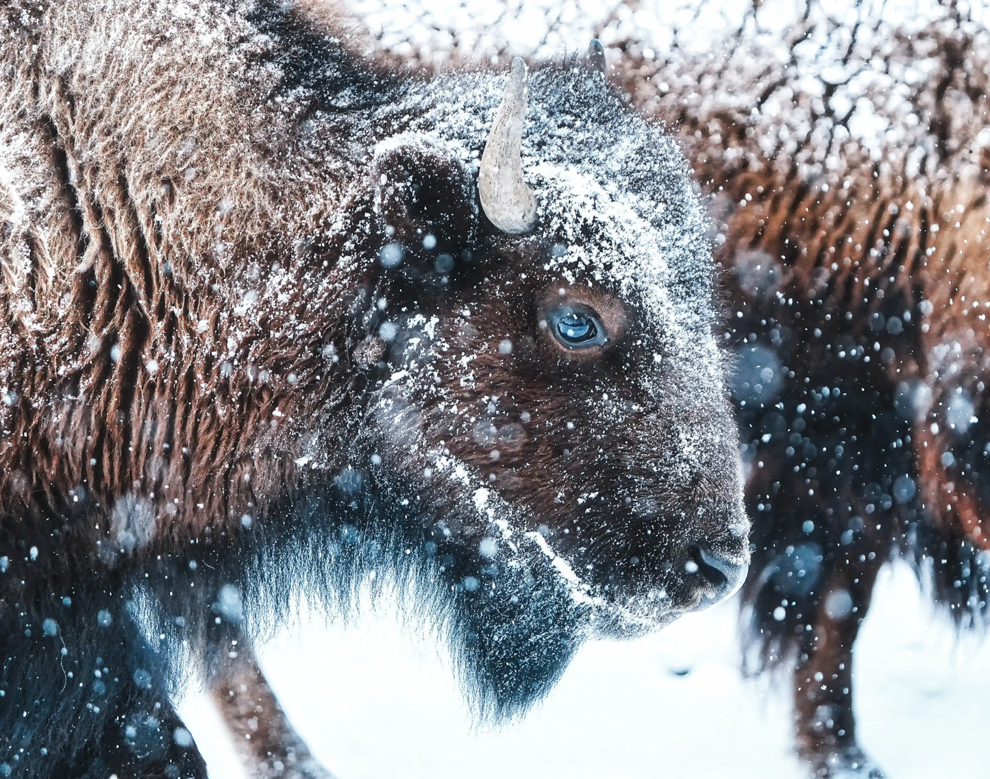 Mountain Landscape Wall Art Print 24