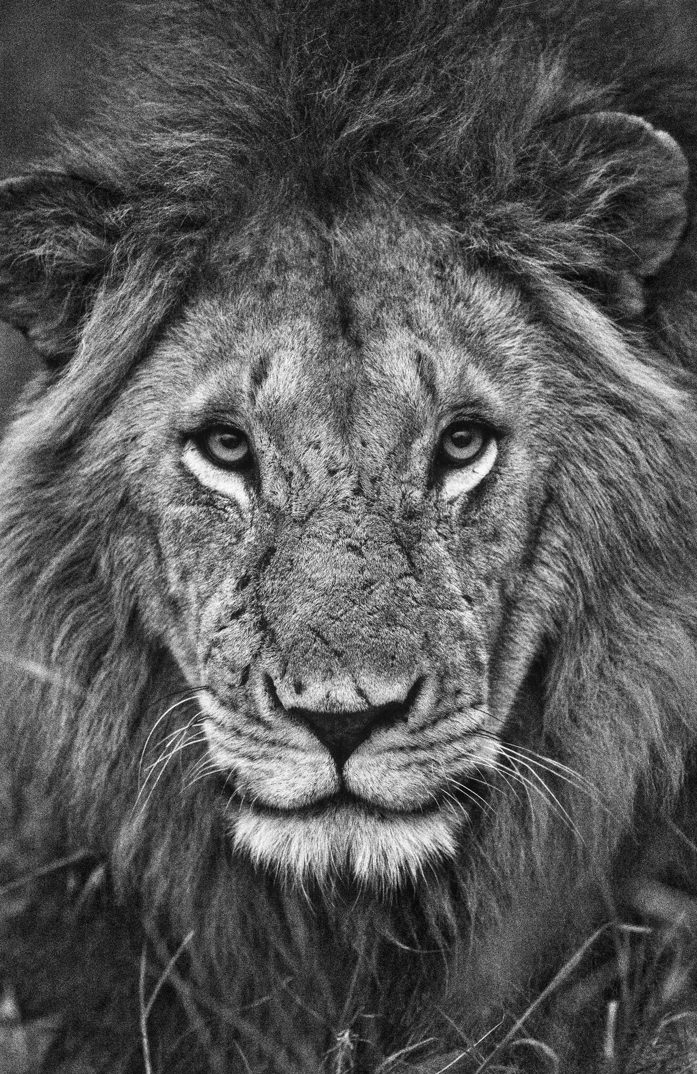 Mountain Landscape Wall Art Print 21