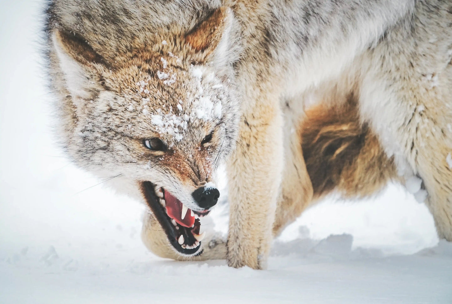 Mountain Landscape Wall Art Print 34