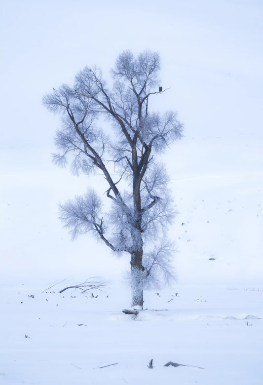 Mountain Landscape Wall Art Print 52