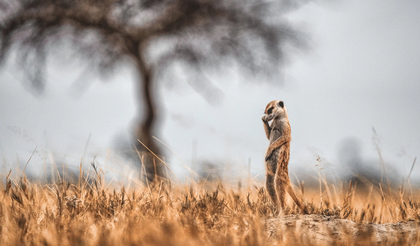 Mountain Landscape Wall Art Print 30