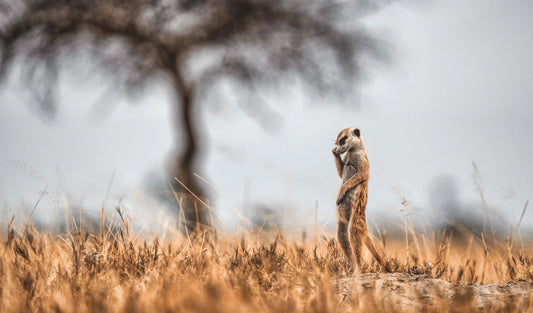 Mountain Landscape Wall Art Print 30