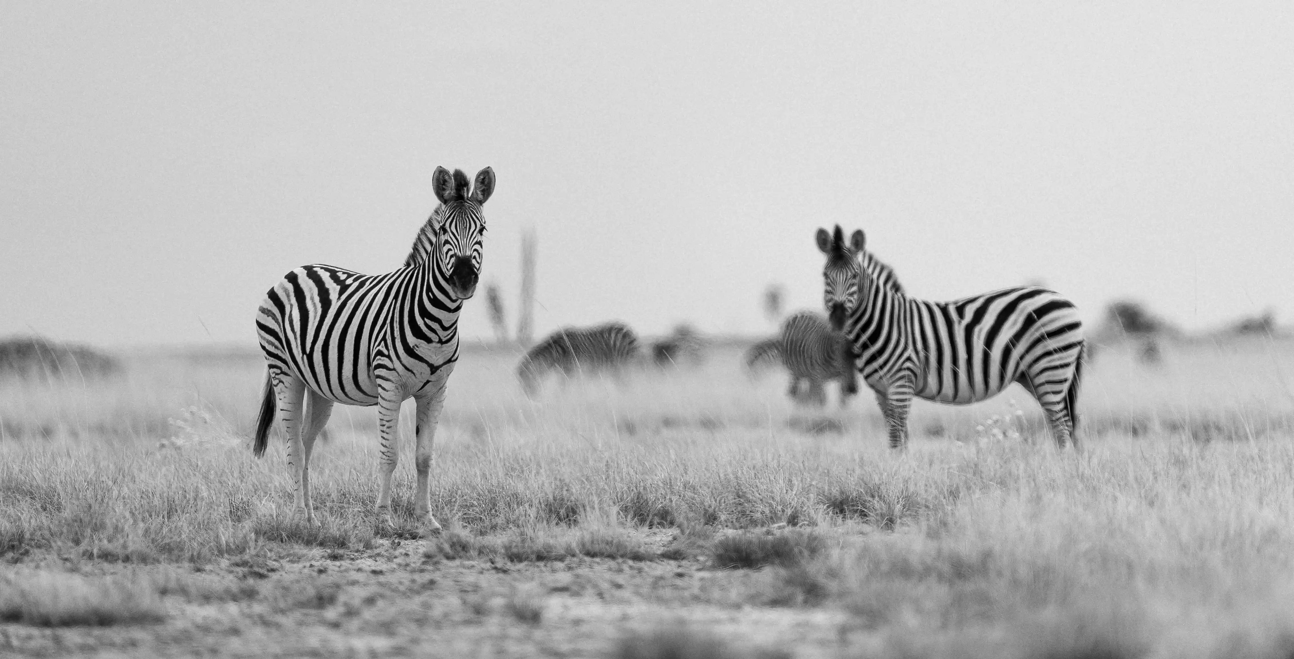 Mountain Landscape Wall Art Print 15