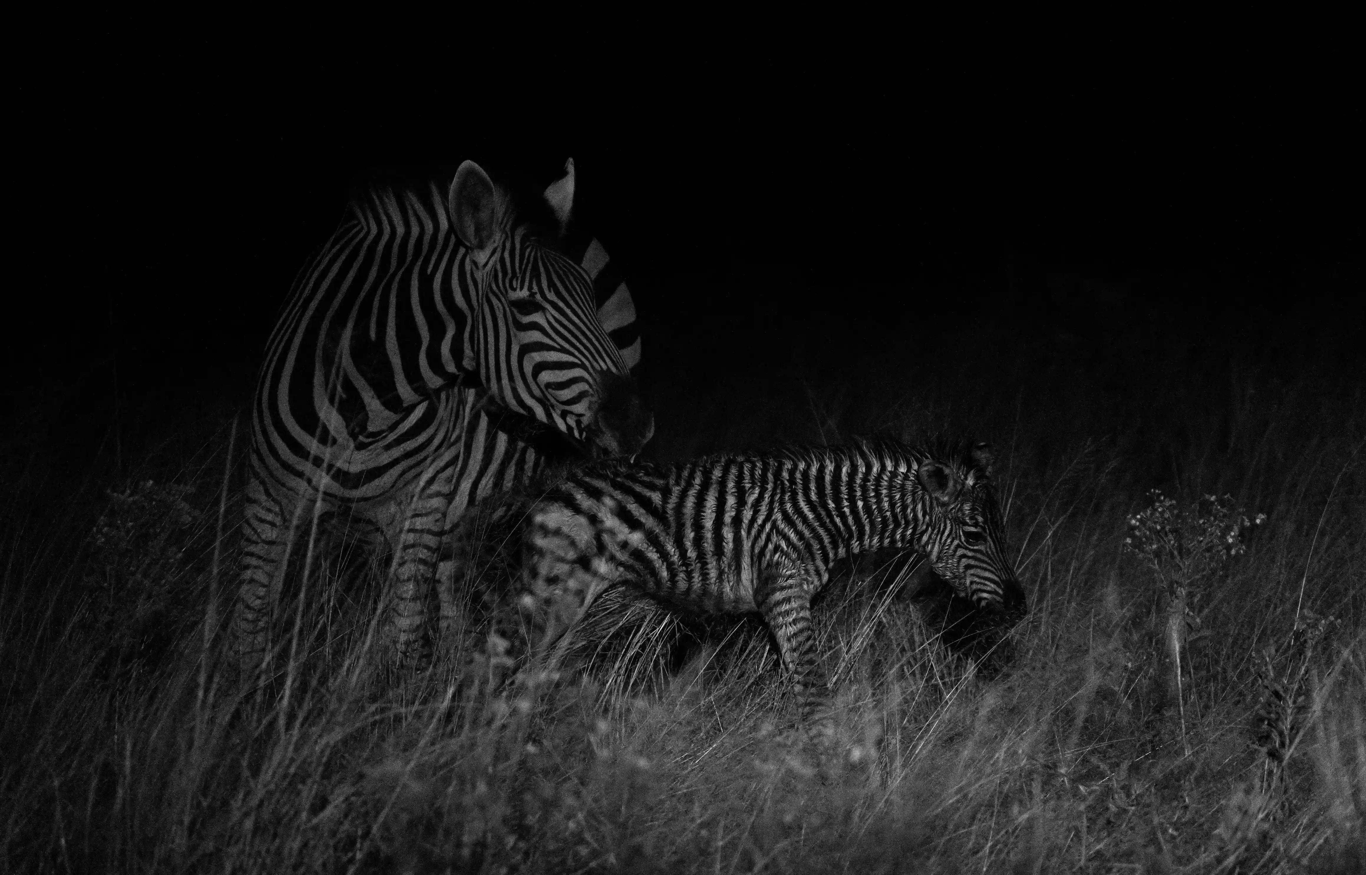 Mountain Landscape Wall Art Print 11