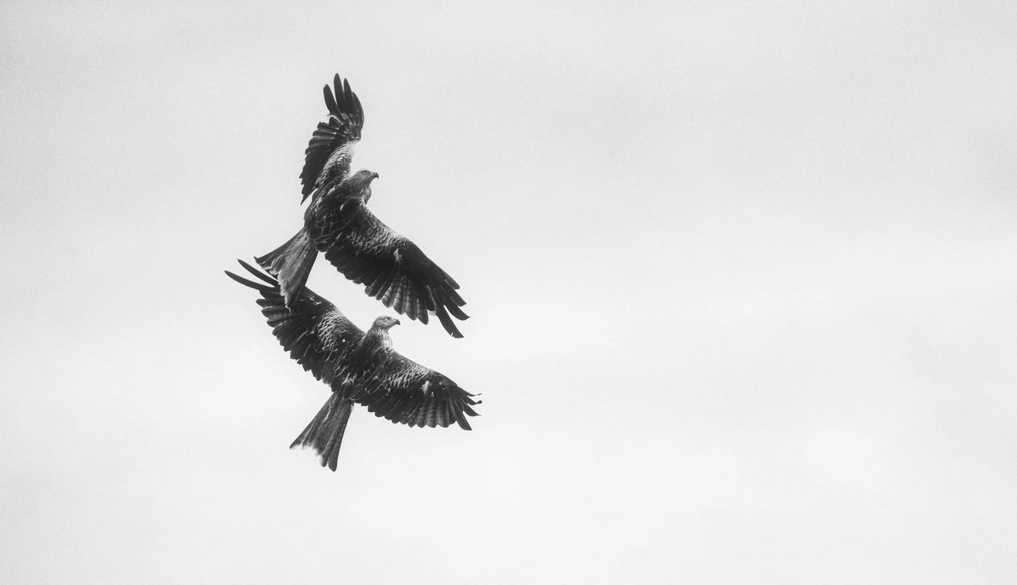 Mountain Landscape Wall Art Print 17