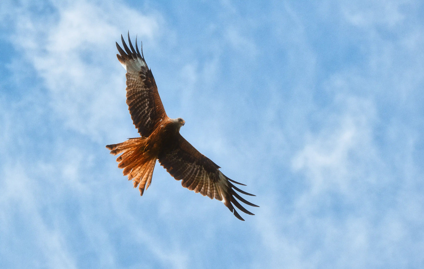 Mountain Landscape Wall Art Print 9