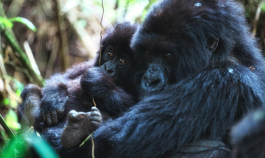 Mountain Landscape Wall Art Print 7