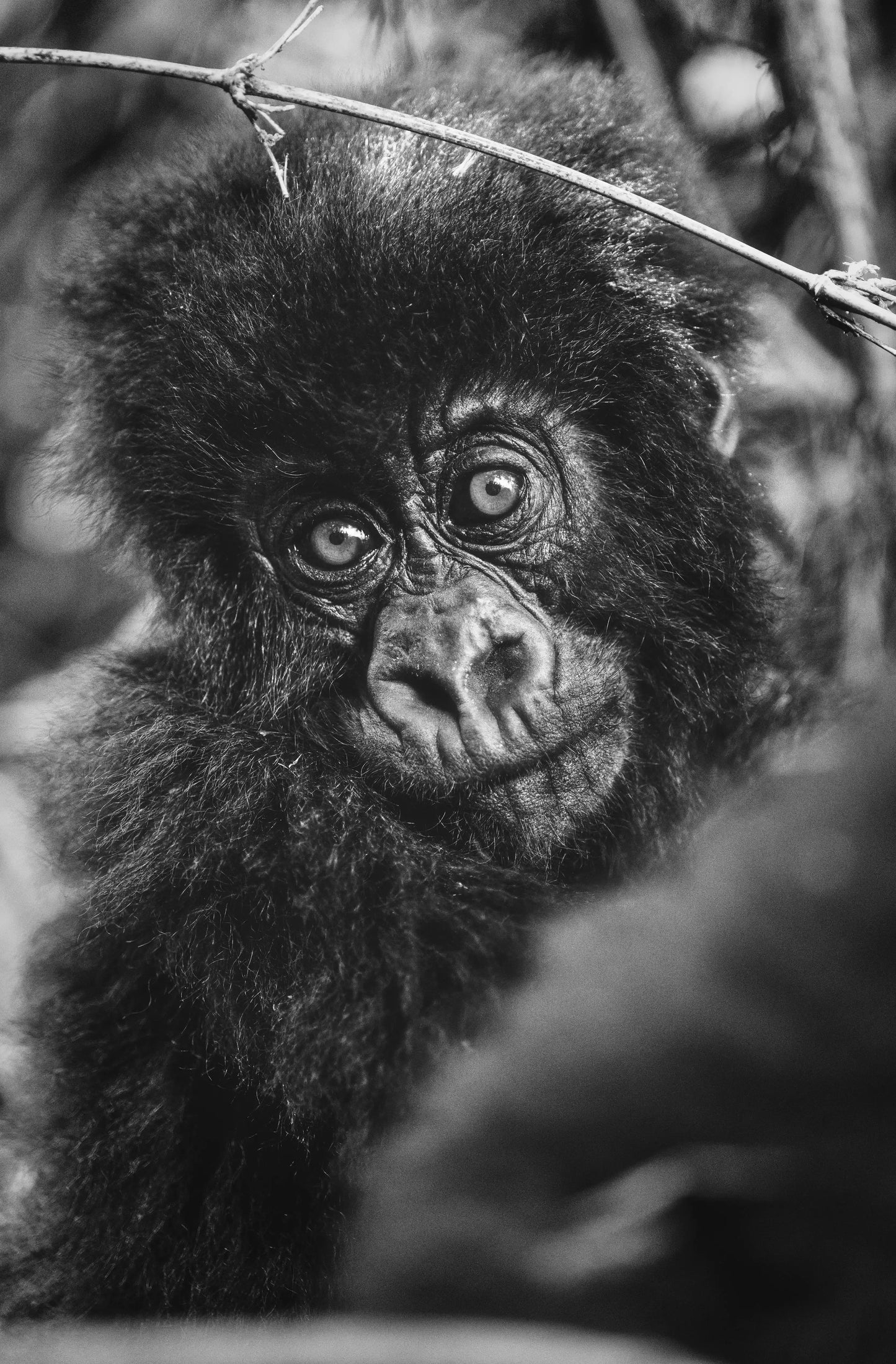 Mountain Landscape Wall Art Print 56